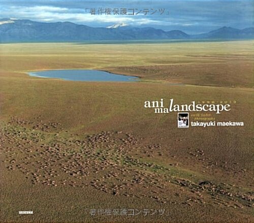 Animalandscape 1998-2013 (Hardcover)