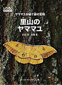 里山のヤママユ: ヤママユが紡ぐ綠の寶物 (ふれあい寫眞えほん) (大型本)