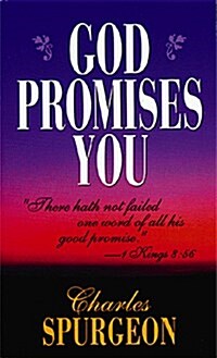 God Promises You (Paperback)