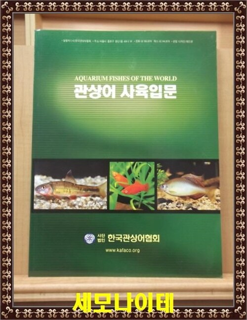 [중고] 관상어 사육입문 / 사단법인 한국관상어협회 