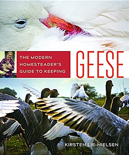 The Modern Homesteaders Guide to Keeping Geese (Paperback)