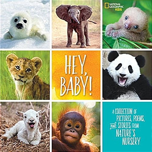 Hey, Baby!: A Collection of Pictures, Poems, and Stories from Natures Nursery (Library Binding)