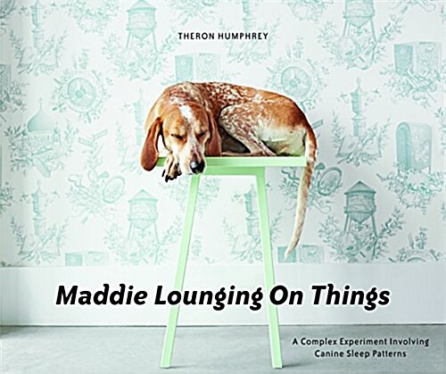Maddie Lounging on Things (Hardcover)
