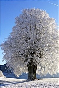 A Beautiful Tree Covered in Frost on a Snowy Winter Day Journal: 150 Page Lined Notebook/Diary (Paperback)