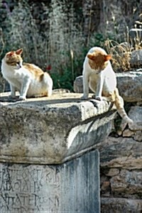 Cats at the Ruins in Ephesus Turkey Journal: 150 Page Lined Notebook/Diary (Paperback)
