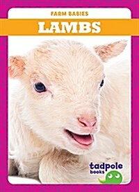 Lambs (Hardcover)