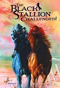 The Black Stallion Challenged! (Paperback)