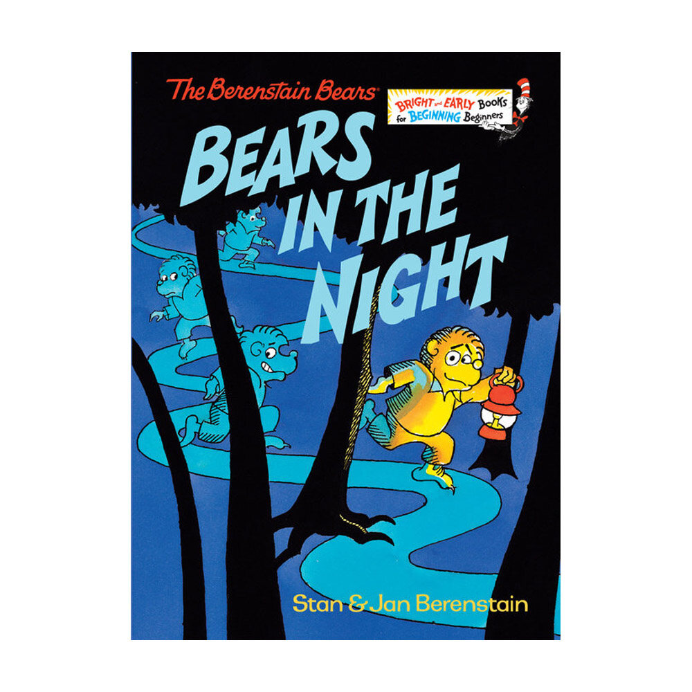 [중고] Bears in the Night (Hardcover)