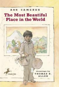 The Most Beautiful Place in the World (Paperback)