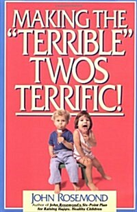 Making the Terrible Twos Terrific: Volume 4 (Paperback, Original)