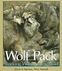 Wolf Pack: Tracking Wolves in the Wild (Paperback)