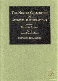 The Netter Collection of Medical Illustrations - Digestive System: Part II - Lower Digestive Tract (Hardcover)