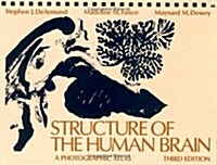 Structure of the Human Brain : A Photographic Atlas (Spiral Bound, 3 Revised edition)