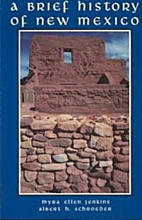 A Brief History of New Mexico (Paperback)