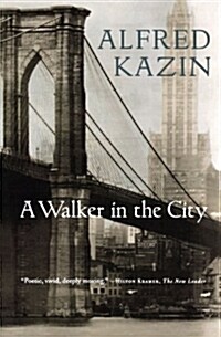 A Walker in the City (Paperback)