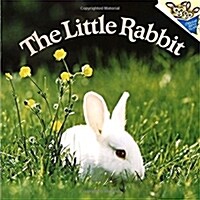 The Little Rabbit (Paperback)