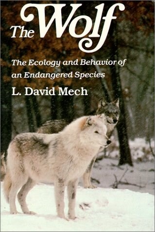 Wolf: The Ecology and Behavior of an Endangered Species (Paperback)