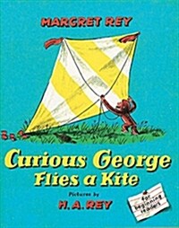 Curious George Flies a Kite (Paperback)