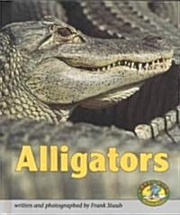 Alligators (Hardcover)
