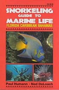Snorkeling Guide to Marine Life Florida, Caribbean, Bahamas (Paperback)