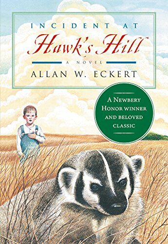 [중고] Incident at Hawk‘s Hill (Paperback)