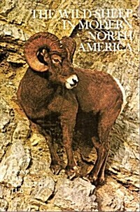 The Wild Sheep in Modern North America (Paperback)