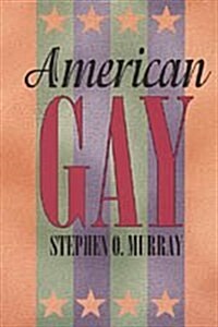 American Gay (Hardcover, 2)