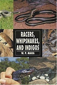 Racers, Whipsnakes and Indigos (Paperback)