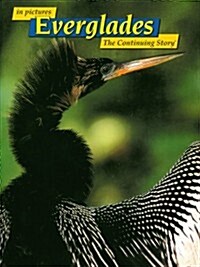 In Pictures Everglades the Continuing Story (Paperback)