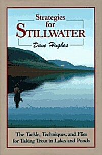 Strategies for Stillwater (Hardcover)