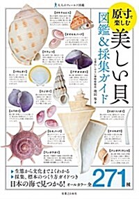 大人のフィ-ルド圖鑑 原寸で樂しむ 美しい貝 圖鑑&採集ガイド (單行本(ソフトカバ-))