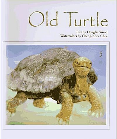 [중고] Old Turtle (Hardcover)