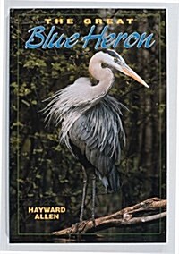 The Great Blue Heron (Camp & Cottage Wildlife Collection) (Paperback)