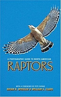 A Photographic Guide to North American Raptors (Natural World) (Paperback, 1)