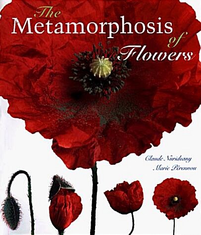The Metamorphosis of Flowers (Hardcover)