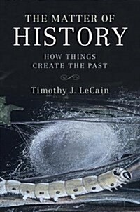 The Matter of History : How Things Create the Past (Paperback)