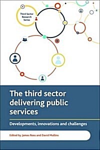 The Third Sector Delivering Public Services : Developments, Innovations and Challenges (Paperback)