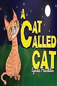 A Cat Called Cat (Paperback)