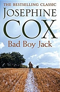 Bad Boy Jack : A Fathers Struggle to Reunite His Family (Paperback)