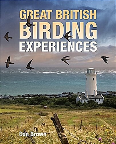 Great British Birding Experiences (Paperback)