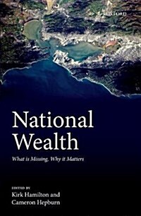 National Wealth : What is Missing, Why it Matters (Hardcover)