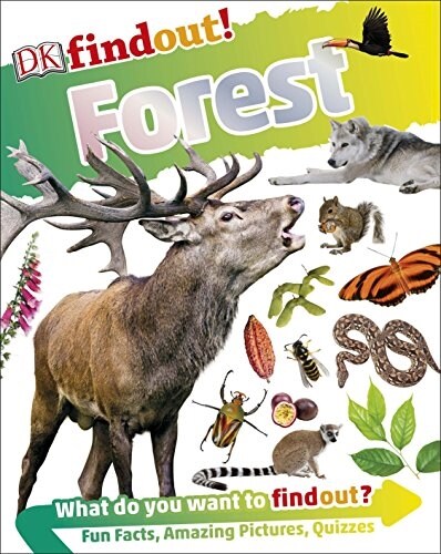 DKfindout! Forest (Paperback)