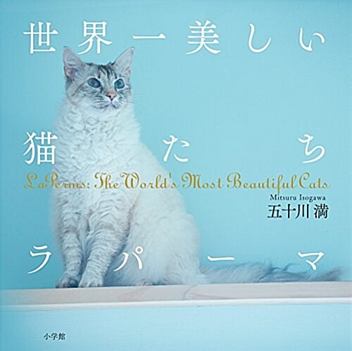 世界一美しい猫たち ラパ-マ (單行本)