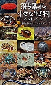 落ち葉の下の小さな生き物ハンドブック (單行本)