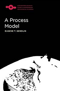 A Process Model (Paperback)