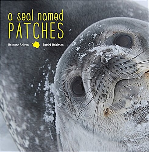 A Seal Named Patches (Hardcover)