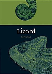 Lizard (Paperback)