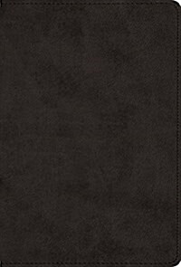 The Greek New Testament, Produced at Tyndale House, Cambridge (Trutone, Black) (Imitation Leather)