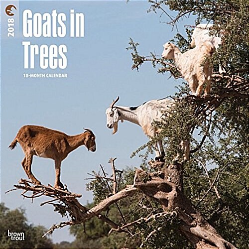 2018 Goats in Trees Wall Calendar (Wall)