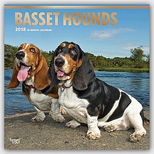 2018 Basset Hounds Wall Calendar (Wall)